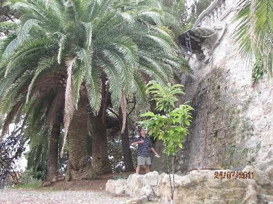 La Maison De Lilly Centro Storico Sanremo
